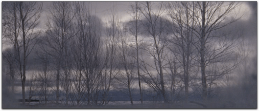 doctor zhivago winter trees